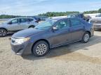 TOYOTA CAMRY 2013