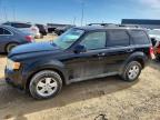 FORD ESCAPE 2012