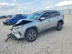 TOYOTA RAV4 2024
