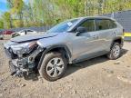 TOYOTA RAV4 2023