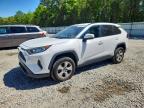 TOYOTA RAV4 2020