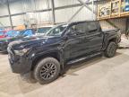 TOYOTA TACOMA 2024