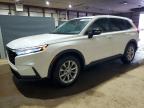 HONDA CR-V 2024