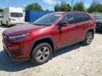 TOYOTA RAV4 2024