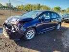 TOYOTA COROLLA HYBRID 2026