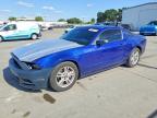 FORD MUSTANG 2014