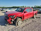 TOYOTA TACOMA 2024