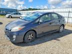 TOYOTA PRIUS 2010