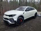 LAMBORGHINI URUS 2021