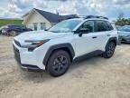 TOYOTA RAV4 2026