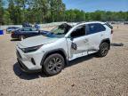TOYOTA RAV4 2024
