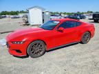 FORD MUSTANG 2024