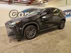 LEXUS NX 2022
