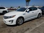 KIA OPTIMA 2016