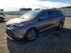 TOYOTA SIENNA 2022