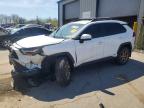 TOYOTA RAV4 2023
