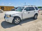 FORD ESCAPE 2010