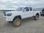 TOYOTA TACOMA 2007
