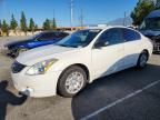 NISSAN ALTIMA 2012