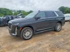CADILLAC ESCALADE 2021