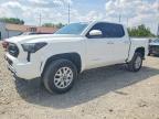 TOYOTA TACOMA 2025