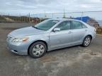 TOYOTA CAMRY 2007