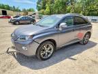 LEXUS RX 2013