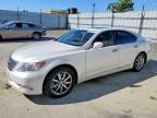 LEXUS LS 2007