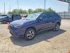 TOYOTA RAV4 HYBRID 2024
