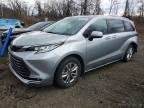 TOYOTA SIENNA 2024