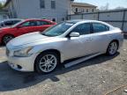 NISSAN MAXIMA 2011