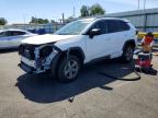 TOYOTA RAV4 HYBRID 2024
