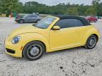 VOLKSWAGEN BEETLE 2013