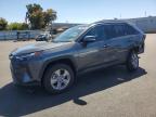 TOYOTA RAV4 2024
