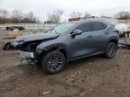 LEXUS NX 2024