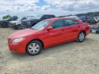 TOYOTA CAMRY 2009