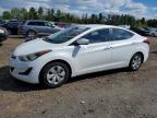 HYUNDAI ELANTRA 2016