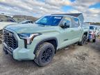 TOYOTA TUNDRA 2024