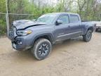 TOYOTA TACOMA 2023