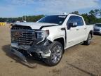 GMC SIERRA 2024