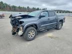 TOYOTA TACOMA 2019