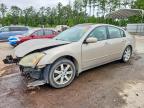 NISSAN MAXIMA 2006