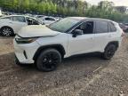 TOYOTA RAV4 2022