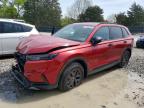 HONDA CR-V 2026