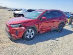 TOYOTA RAV4 2024