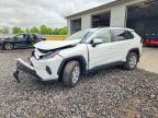 TOYOTA RAV4 2019