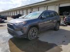 TOYOTA RAV4 HYBRID 2025