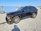 TOYOTA RAV4 2024