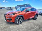 LEXUS NX 2020