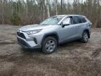 TOYOTA RAV4 2025